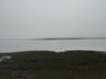 stumpy cove lookoff.jpg